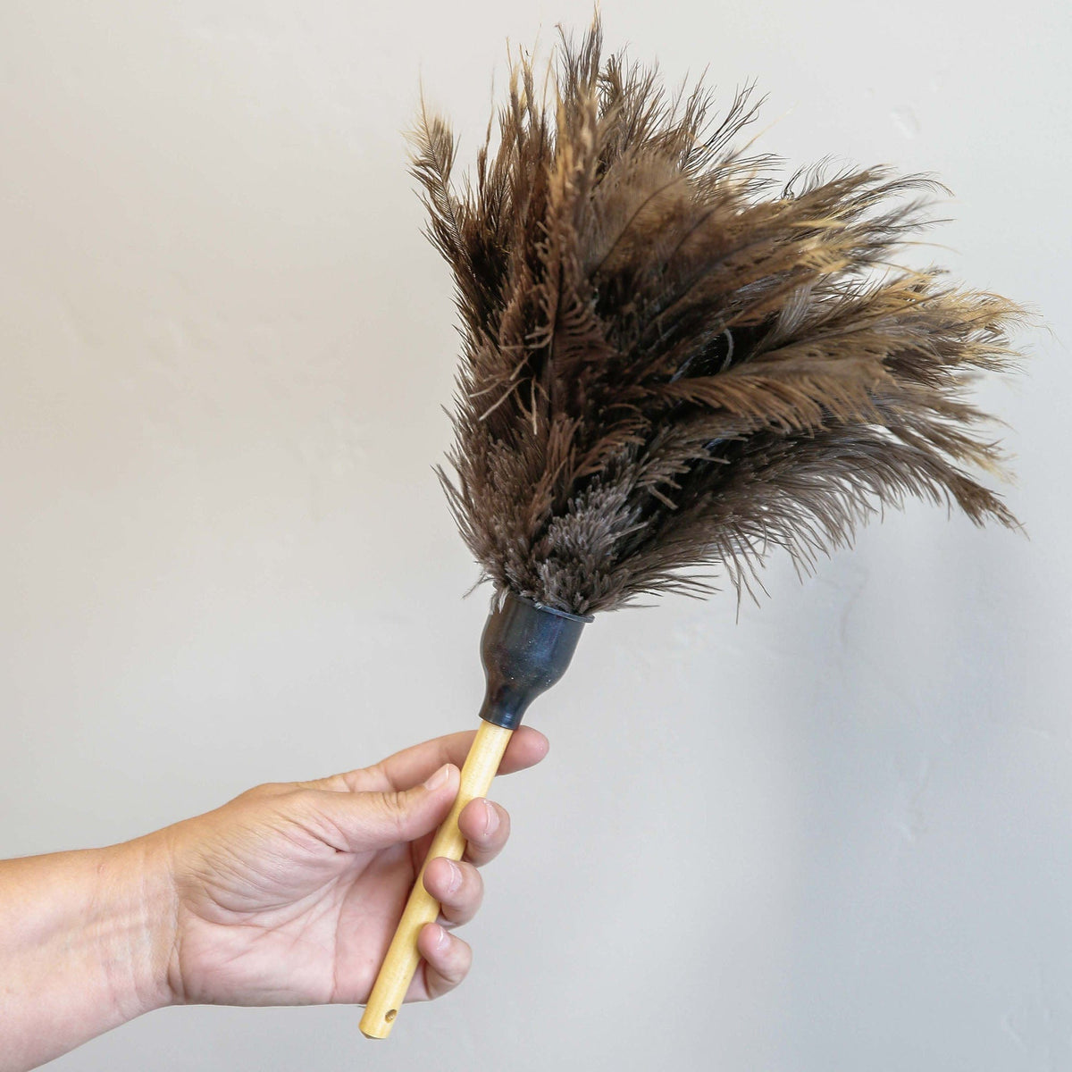 Ostrich Feather Duster- D14EC – Don Aslett