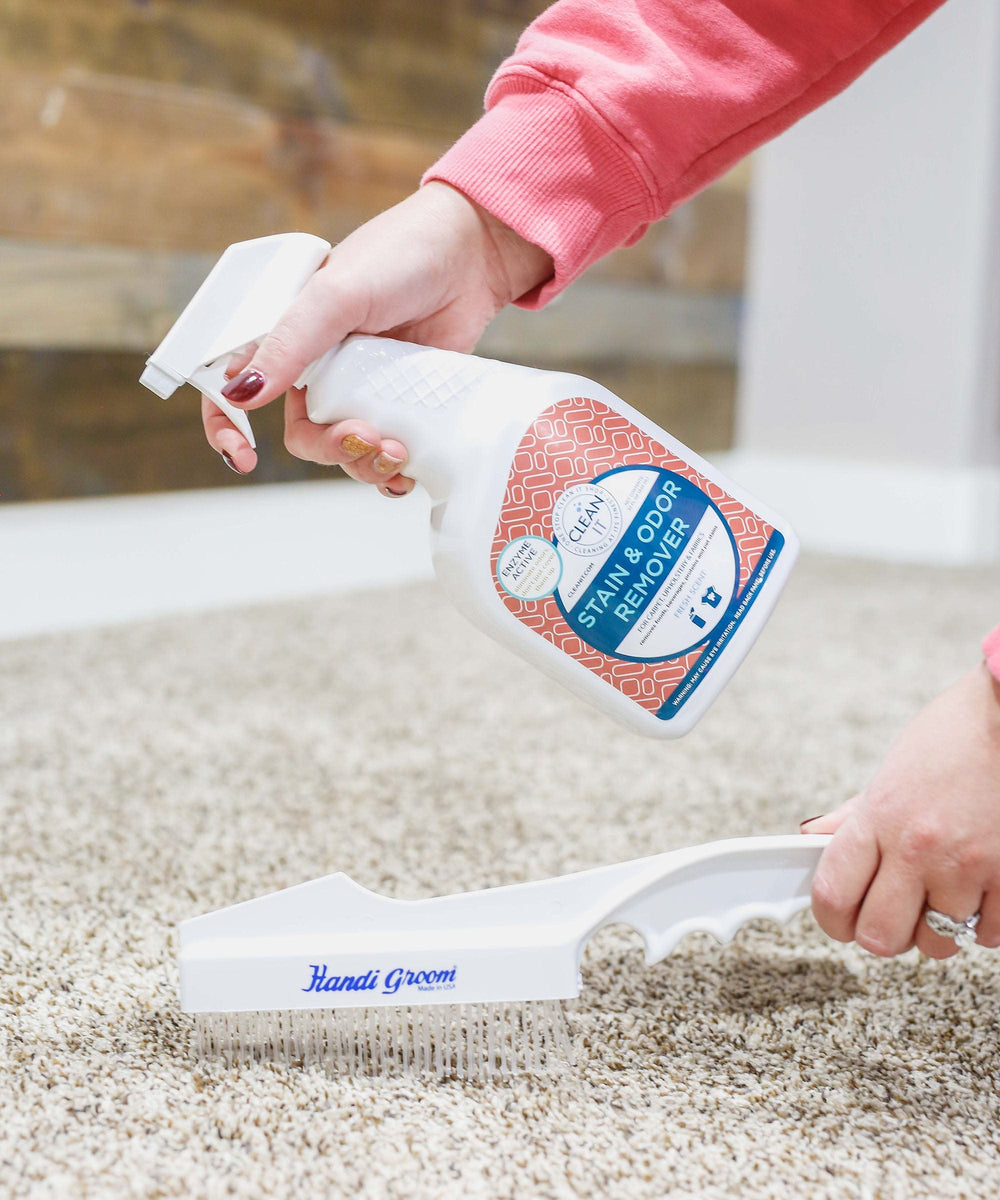 Handheld Carpet Rake Don Aslett