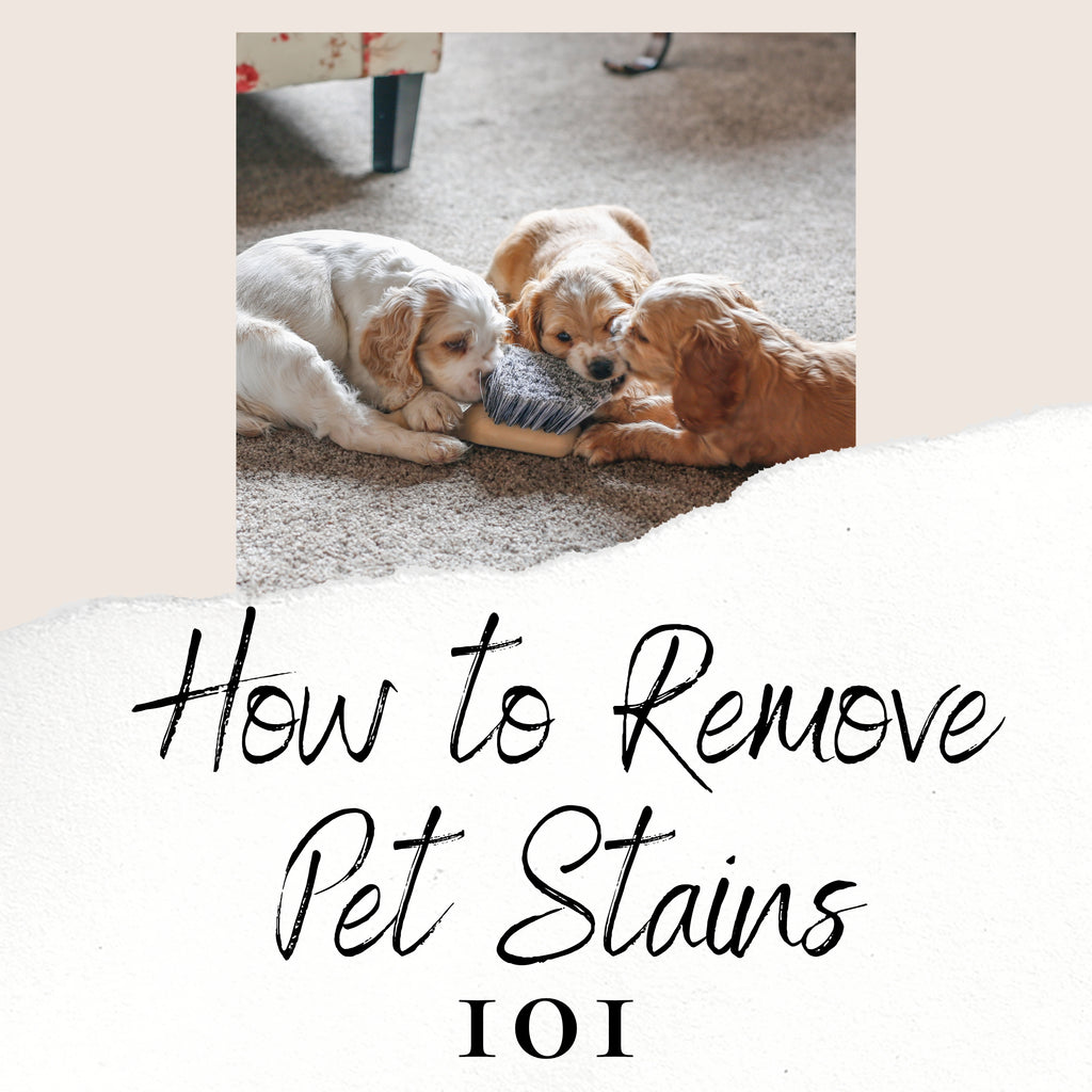 How to remove Pet Stains