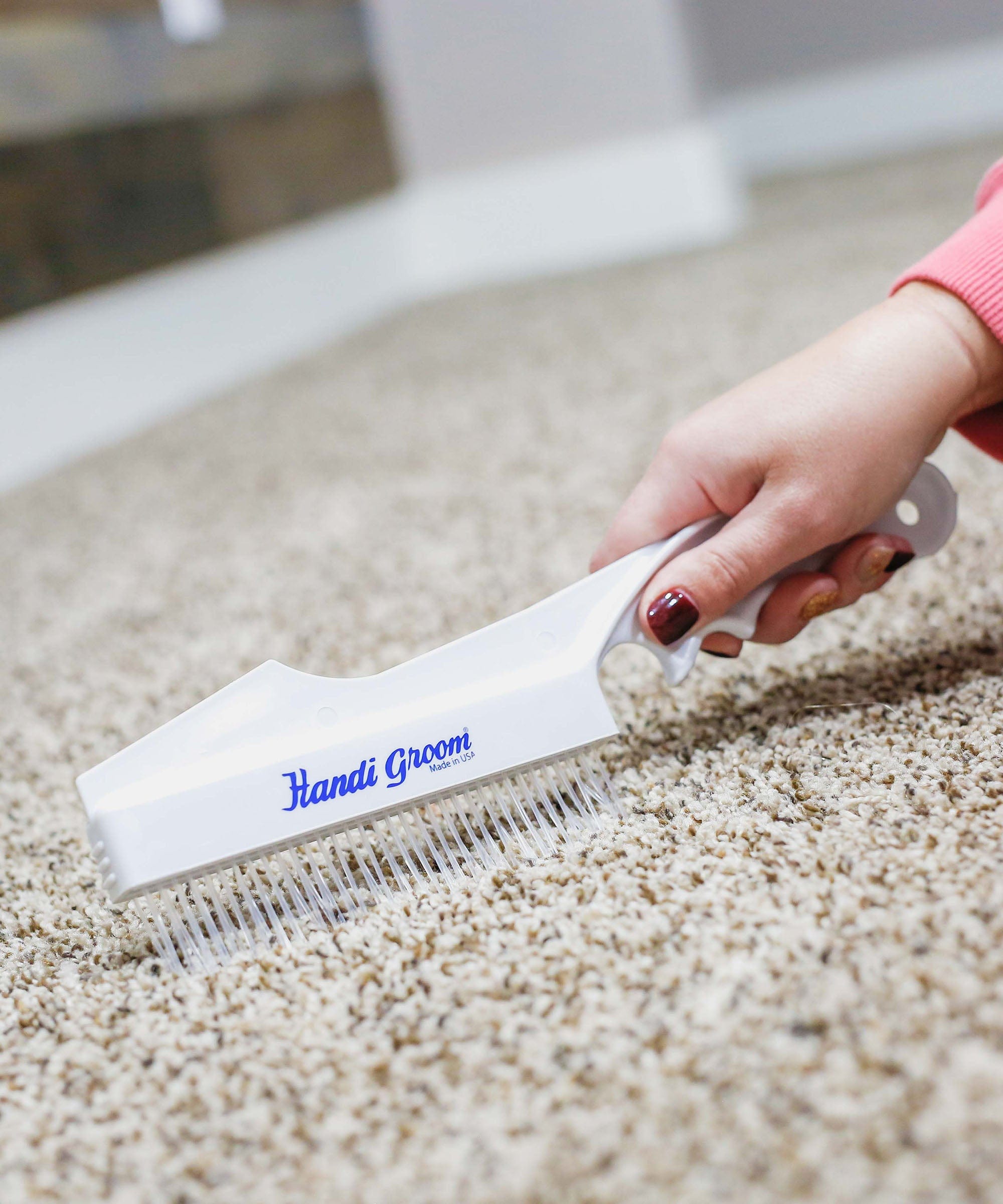 Carpet Rake Alternative Handheld Carpet Rake – Don Aslett